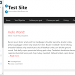 如何编辑WordPress代码 – HTML、CSS、PHP