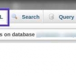 如何执行WordPress数据库搜索和替换
